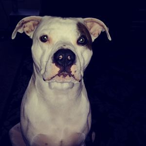 Meet your Posher, Terry